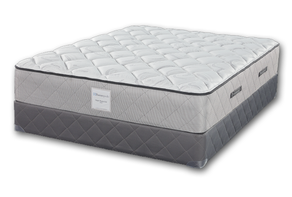 sealy sayer pro luxe mattresses